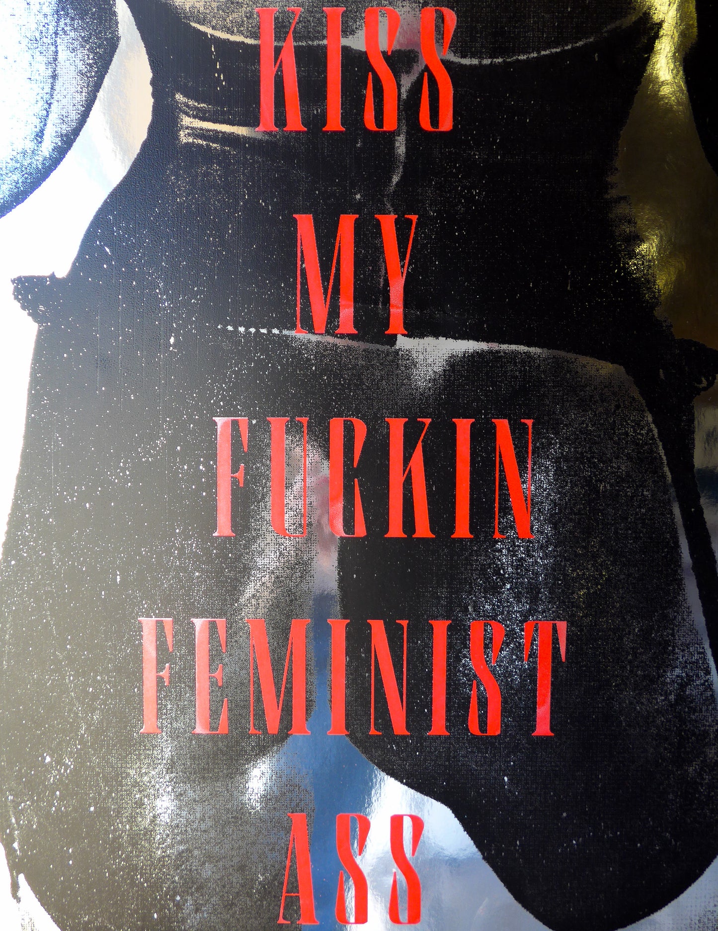 Kiss My Fuckin Feminist Ass (No 15)