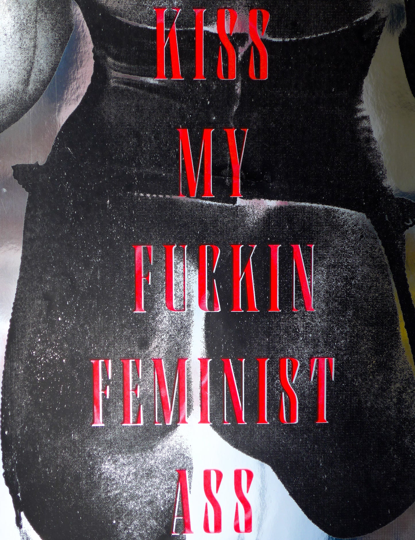 Kiss My Fuckin Feminist Ass (No 17)