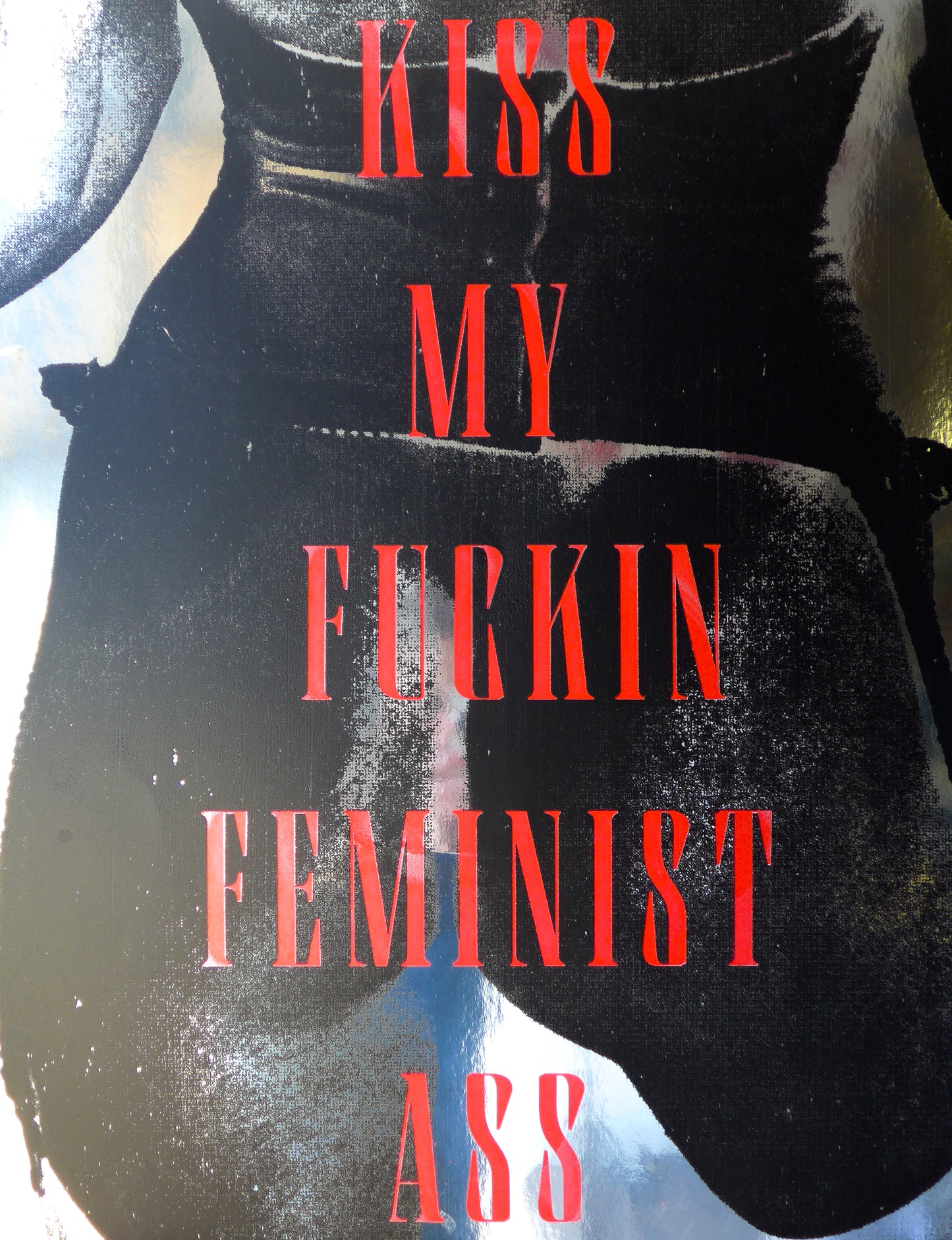 Kiss My Fuckin Feminist Ass (No 14)